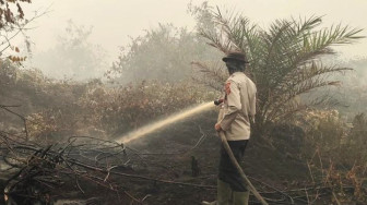 Tim Gabungan Padamkan Karhutla di Tahura Sungai Aur dan Lahan Desa Sumber Jaya